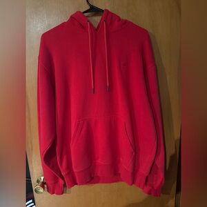 3 Champion Men's Hoodie